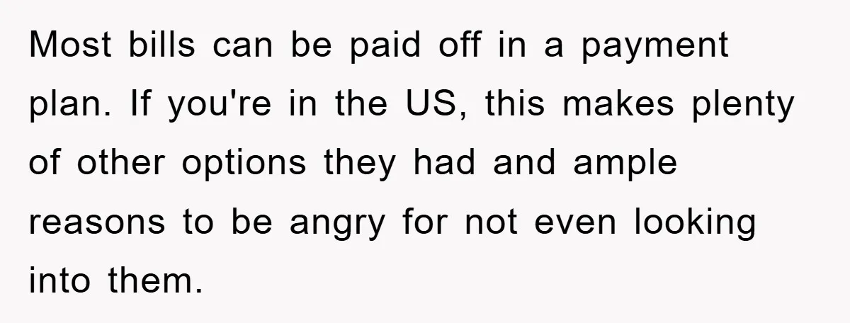 Most bills can be paid off in a payment plan. If you're in the US, this makes plenty of other options they had and ample reasons to be angry for...