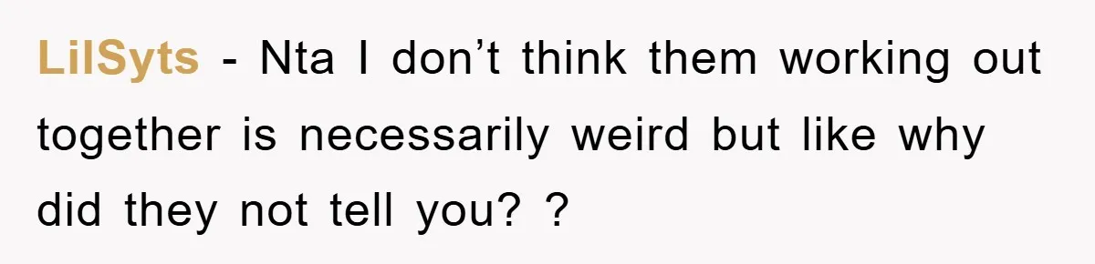 LilSyts − Nta I don’t think them working out together is necessarily weird but like why did they not tell you? ?