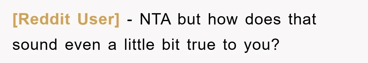 [Reddit User] − NTA but how does that sound even a little bit true to you?