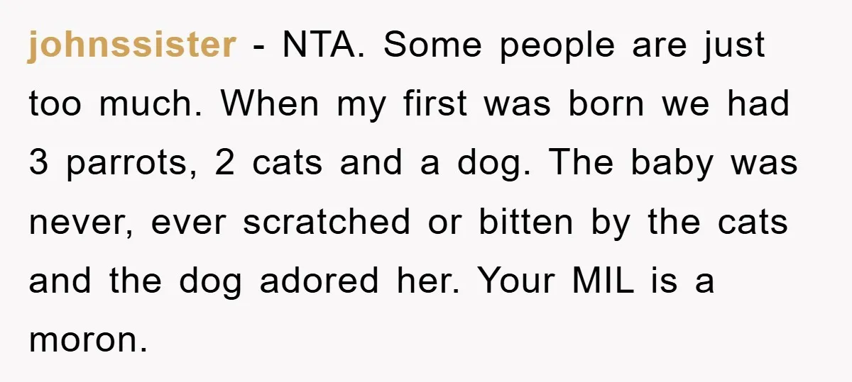 johnssister − NTA. Some people are just too much. When my first was born we had 3 parrots, 2 cats and a dog. The baby was never, ever scratched or...