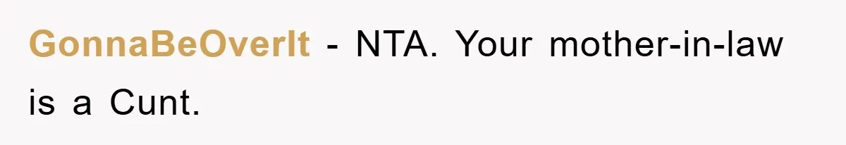 GonnaBeOverIt − NTA. Your mother-in-law is a Cunt.