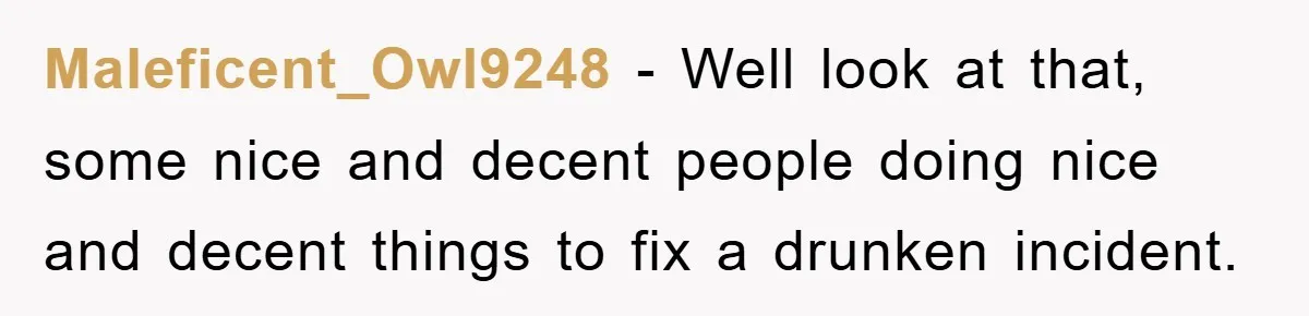 Maleficent_Owl9248 − Well look at that, some nice and decent people doing nice and decent things to fix a drunken incident.
