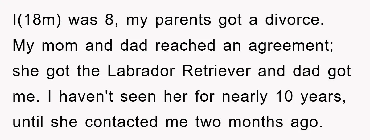 I(18m) was 8, my parents got a divorce. My mom and dad reached an agreement; she got the Labrador Retriever and dad got me. I haven't seen her for nearly...