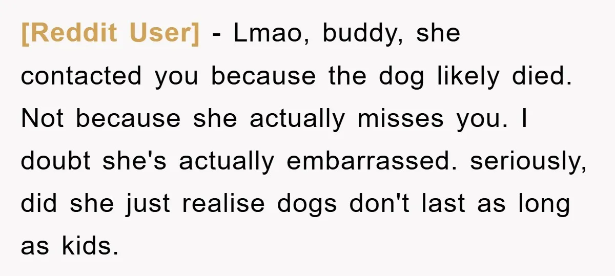 [Reddit User] − Lmao, buddy, she contacted you because the dog likely died. Not because she actually misses you. I doubt she's actually embarrassed. seriously, did she just realise dogs...