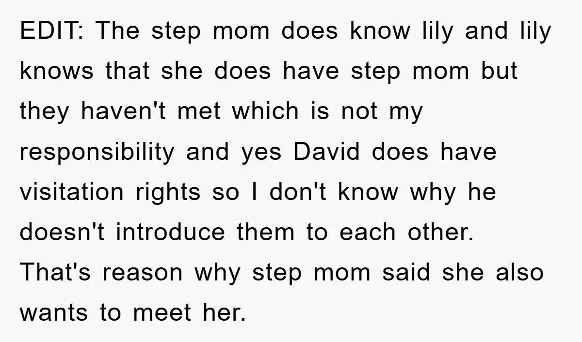 EDIT: The step mom does know lily and lily knows that she does have step mom but they haven't met which is not my responsibility and yes David does have...