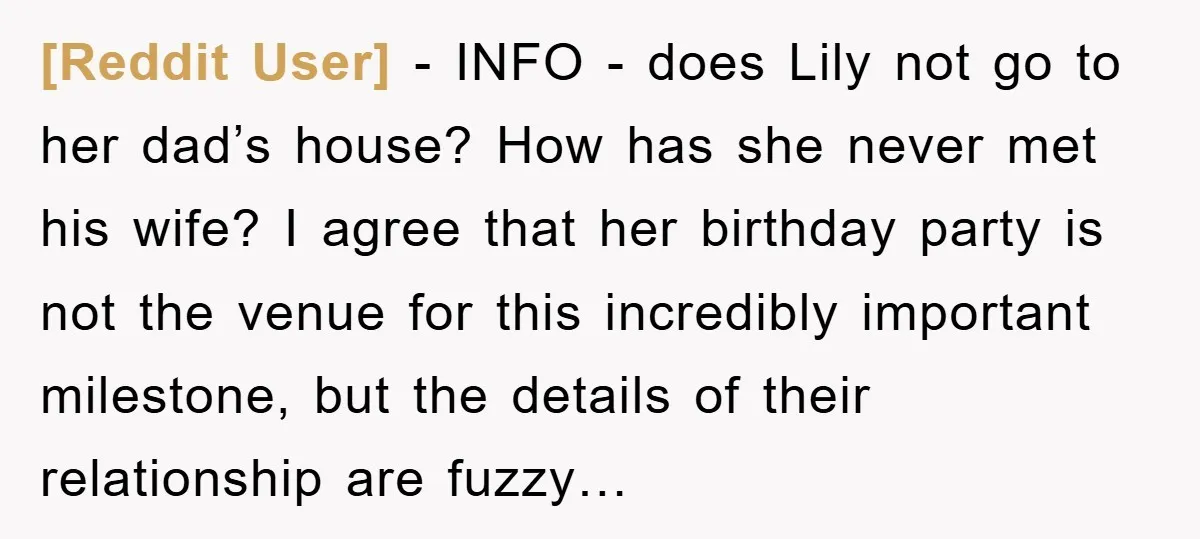 [Reddit User] − INFO - does Lily not go to her dad’s house? How has she never met his wife? I agree that her birthday party is not the venue...