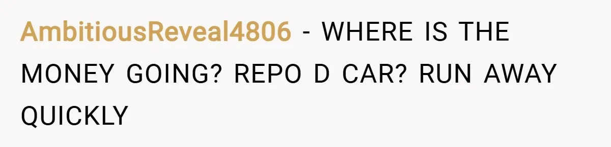 AmbitiousReveal4806 − WHERE IS THE MONEY GOING? REPO D CAR? RUN AWAY QUICKLY