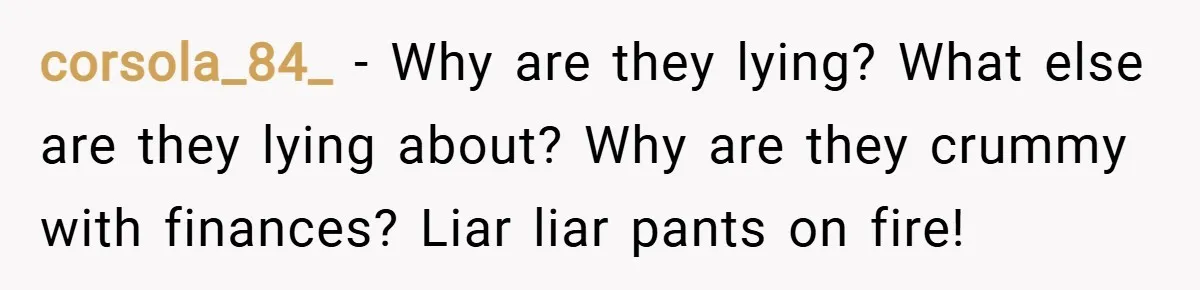 corsola_84_ − Why are they lying? What else are they lying about? Why are they crummy with finances? Liar liar pants on fire!