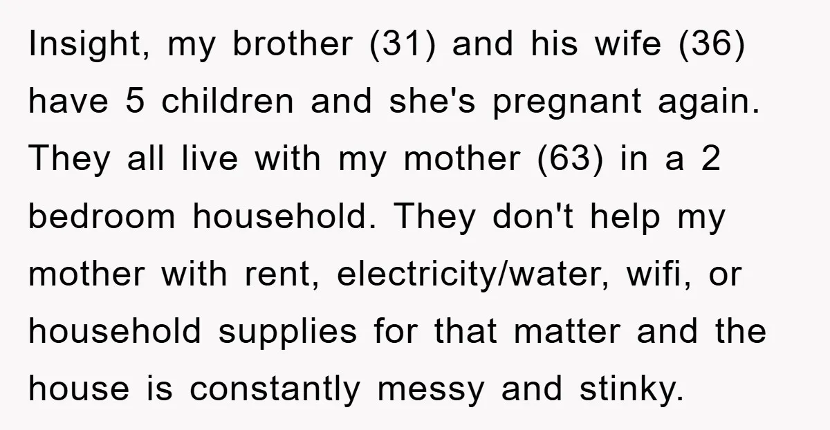Insight, my brother (31) and his wife (36) have 5 children and she's pregnant again. They all live with my mother (63) in a 2 bedroom household. They don't help...