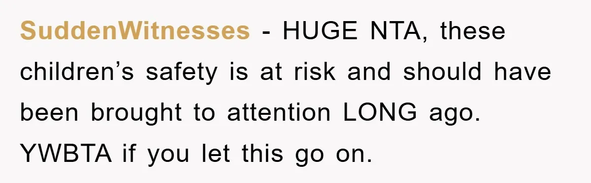 SuddenWitnesses − HUGE NTA, these children’s safety is at risk and should have been brought to attention LONG ago. YWBTA if you let this go on.