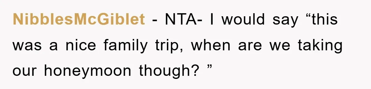 NibblesMcGiblet − NTA- I would say “this was a nice family trip, when are we taking our honeymoon though? ”