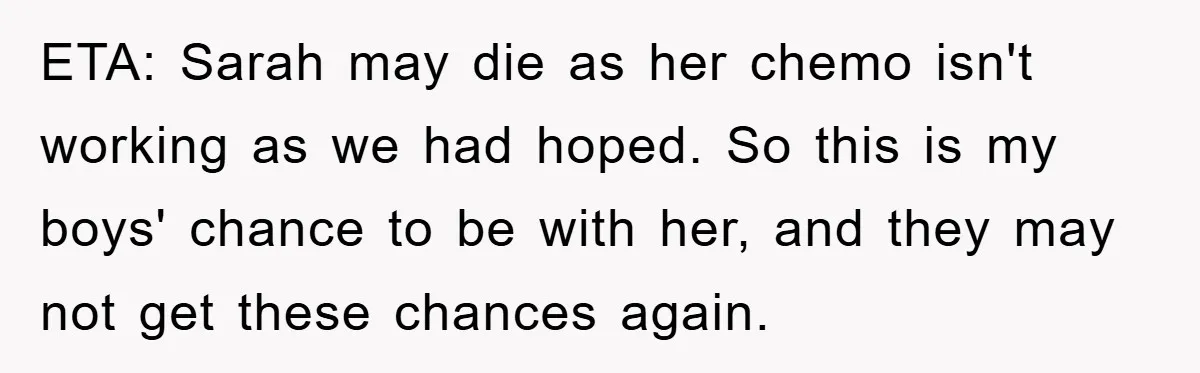 ETA: Sarah may die as her chemo isn't working as we had hoped. So this is my boys' chance to be with her, and they may not get these chances...