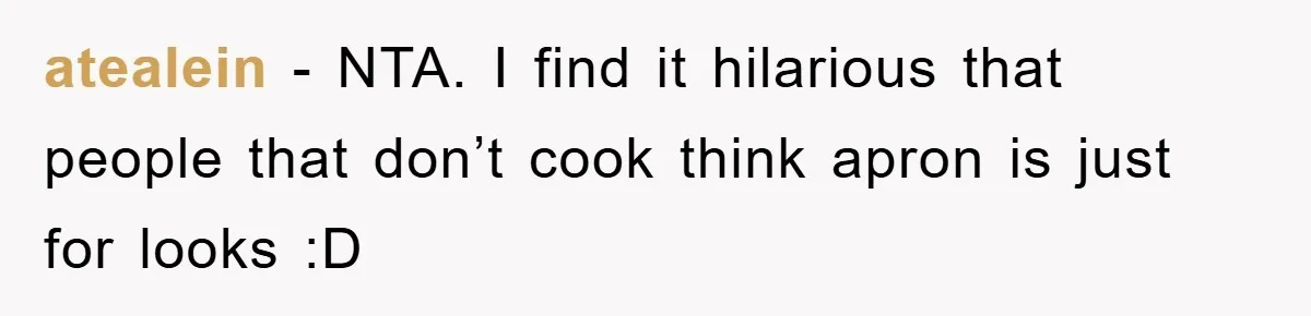 atealein − NTA. I find it hilarious that people that don’t cook think apron is just for looks :D