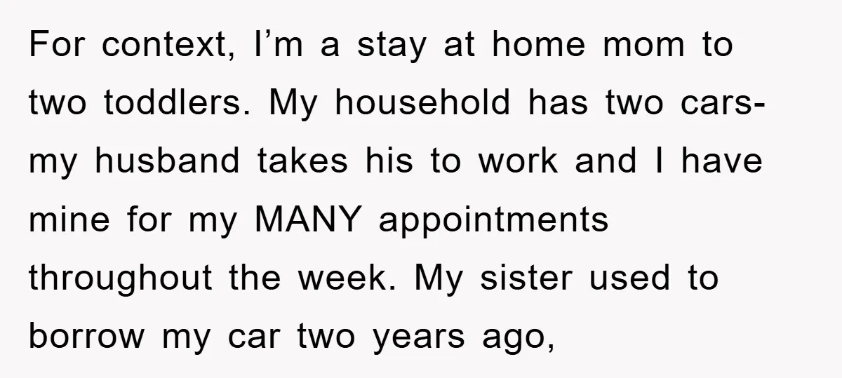 For context, I’m a stay at home mom to two toddlers. My household has two cars- my husband takes his to work and I have mine for my MANY appointments...
