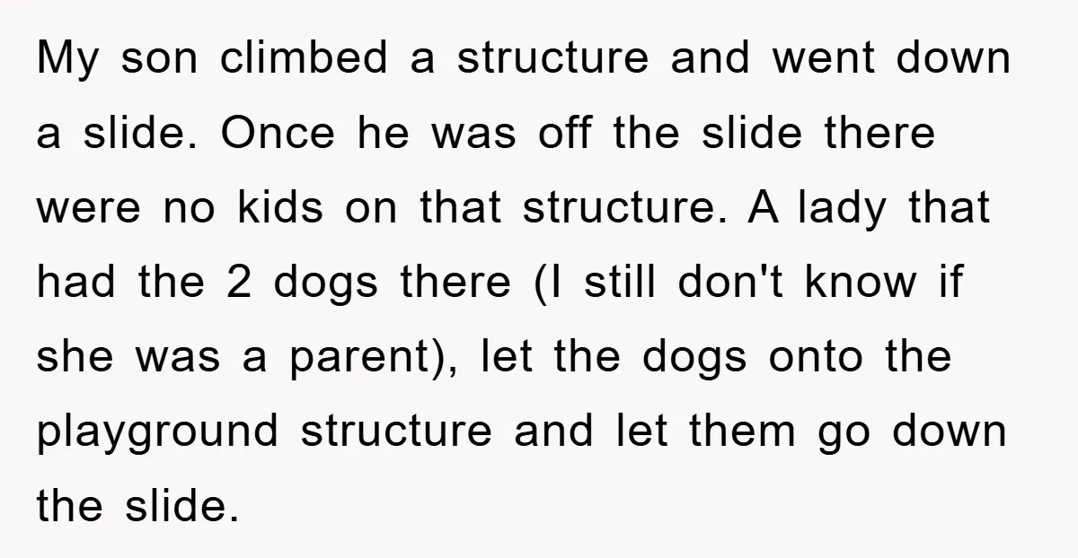 My son climbed a structure and went down a slide. Once he was off the slide there were no kids on that structure. A lady that had the 2 dogs...