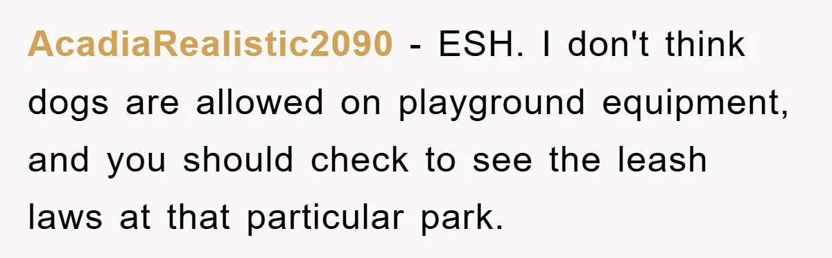 AcadiaRealistic2090 − ESH. I don't think dogs are allowed on playground equipment, and you should check to see the leash laws at that particular park.