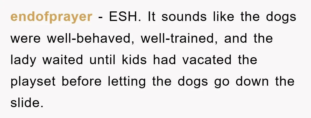 endofprayer − ESH. It sounds like the dogs were well-behaved, well-trained, and the lady waited until kids had vacated the playset before letting the dogs go down the slide.