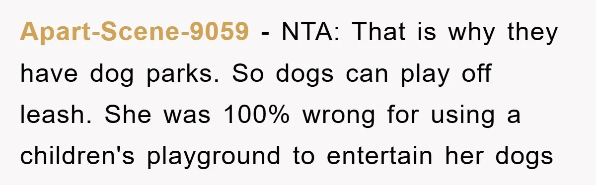 Apart-Scene-9059 − NTA: That is why they have dog parks. So dogs can play off leash. She was 100% wrong for using a children's playground to entertain her dogs