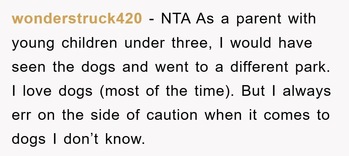 wonderstruck420 − NTA As a parent with young children under three, I would have seen the dogs and went to a different park. I love dogs (most of the time)....