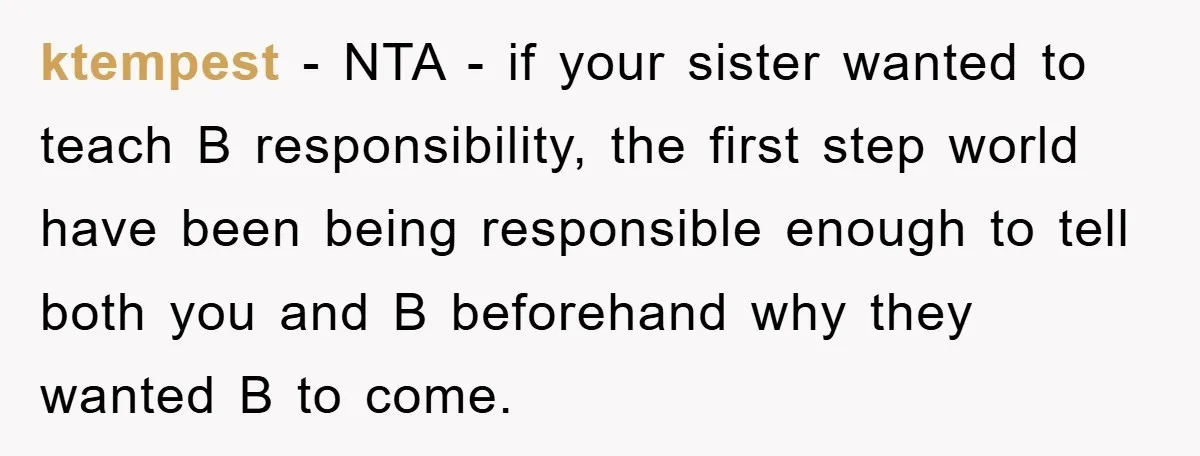 ktempest − NTA - if your sister wanted to teach B responsibility, the first step world have been being responsible enough to tell both you and B beforehand why they...