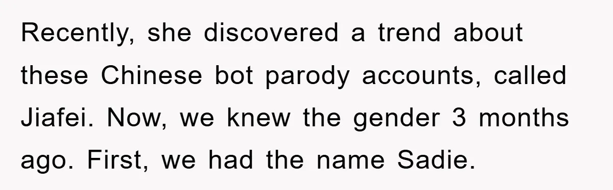 Recently, she discovered a trend about these Chinese bot parody accounts, called Jiafei. Now, we knew the gender 3 months ago. First, we had the name Sadie.