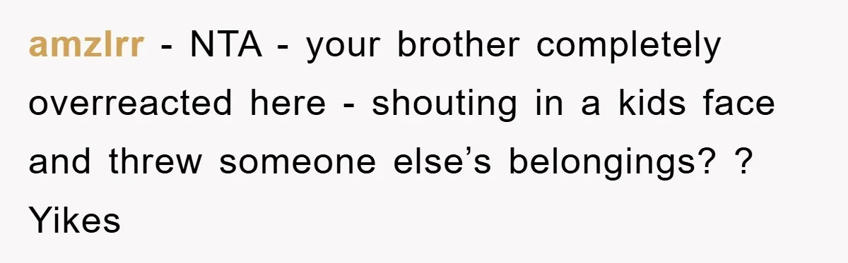 amzlrr − NTA - your brother completely overreacted here - shouting in a kids face and threw someone else’s belongings? ? Yikes