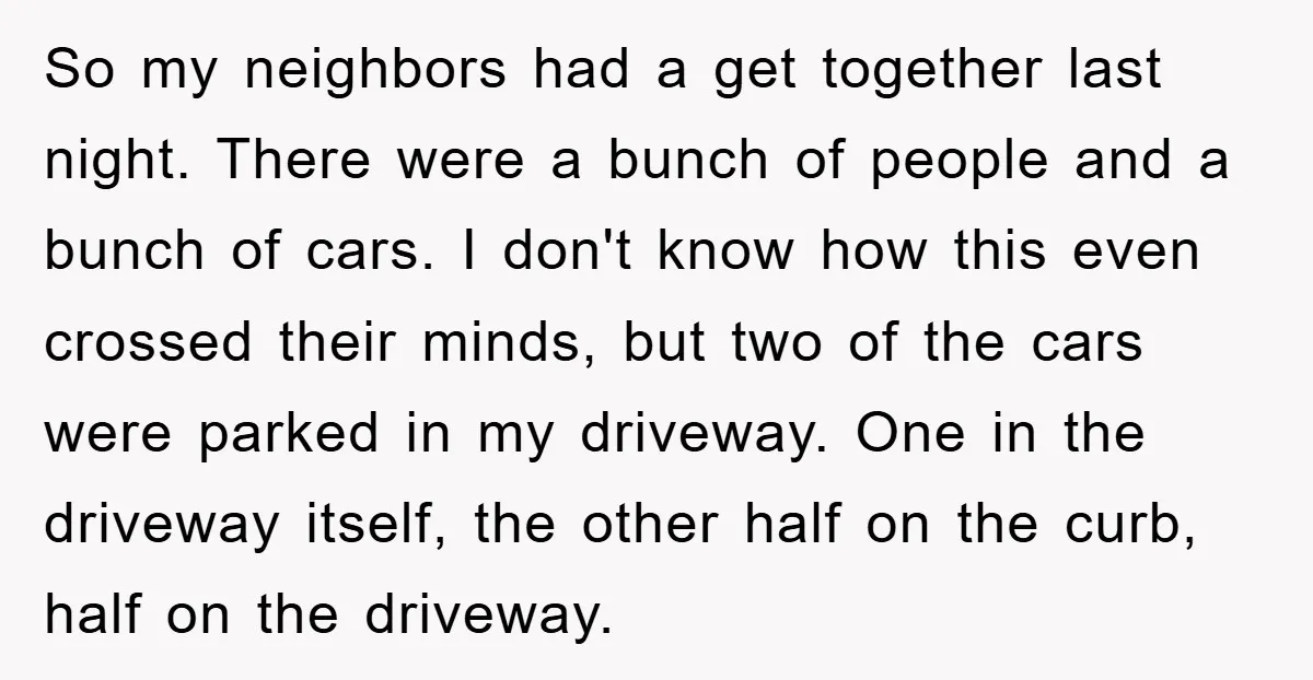So my neighbors had a get together last night. There were a bunch of people and a bunch of cars. I don't know how this even crossed their minds, but...