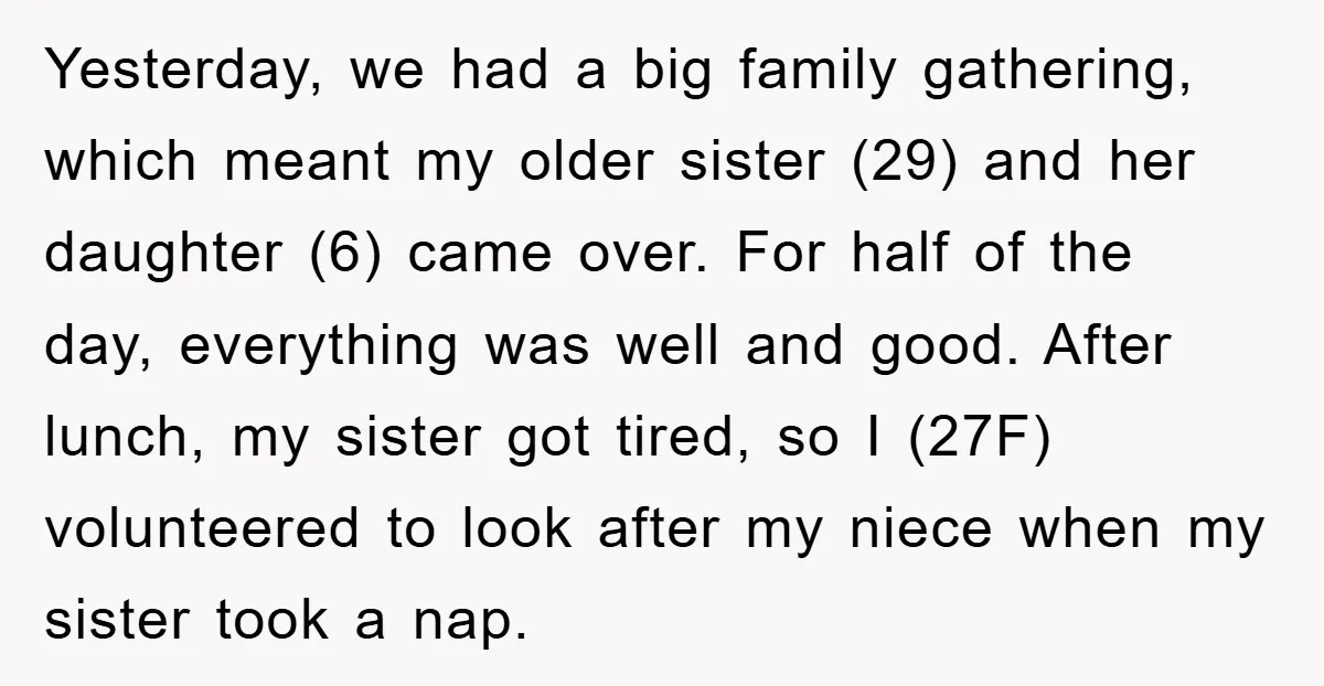 Yesterday, we had a big family gathering, which meant my older sister (29) and her daughter (6) came over. For half of the day, everything was well and good. After...