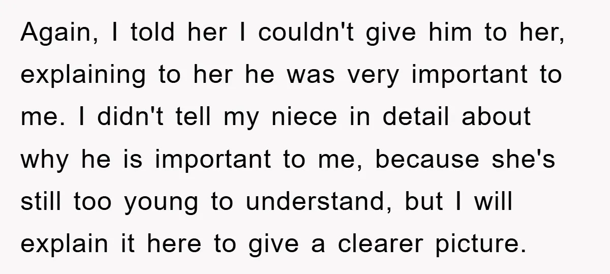 Again, I told her I couldn't give him to her, explaining to her he was very important to me. I didn't tell my niece in detail about why he is...