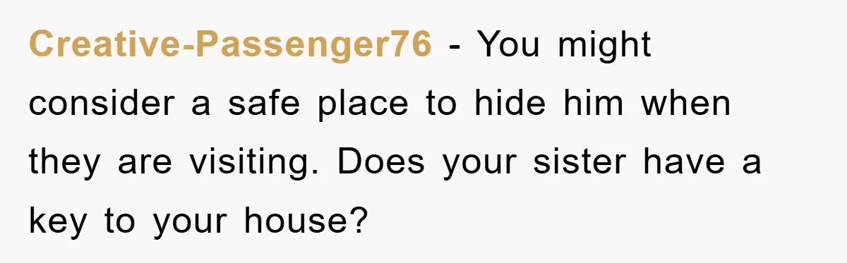 Creative-Passenger76 − You might consider a safe place to hide him when they are visiting. Does your sister have a key to your house?