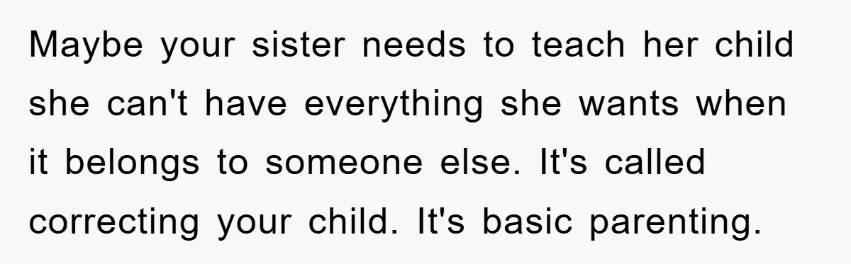 Maybe your sister needs to teach her child she can't have everything she wants when it belongs to someone else. It's called correcting your child. It's basic parenting.