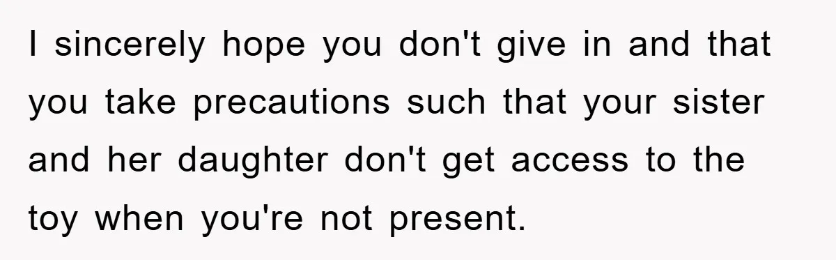 I sincerely hope you don't give in and that you take precautions such that your sister and her daughter don't get access to the toy when you're not present.