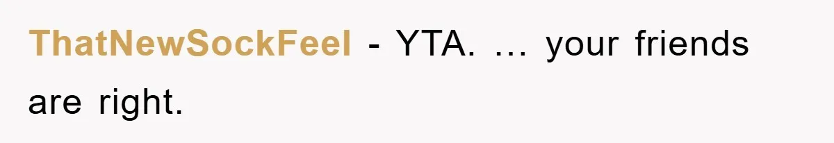 ThatNewSockFeel − YTA. … your friends are right.