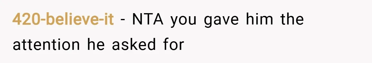 420-believe-it − NTA you gave him the attention he asked for