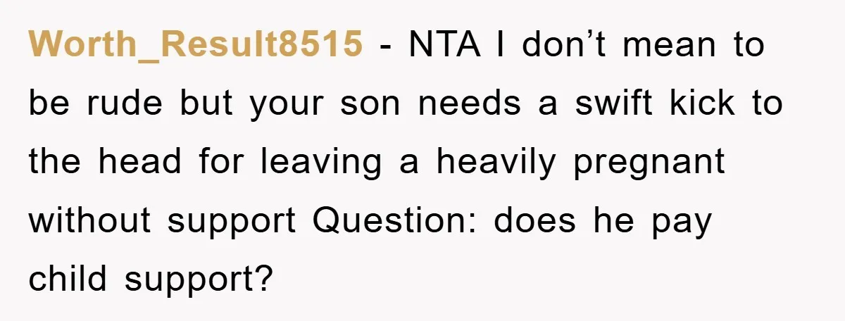Worth_Result8515 − NTA I don’t mean to be rude but your son needs a swift kick to the head for leaving a heavily pregnant without support Question: does he pay...