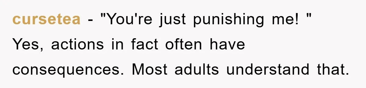 cursetea − "You're just punishing me! " Yes, actions in fact often have consequences. Most adults understand that.