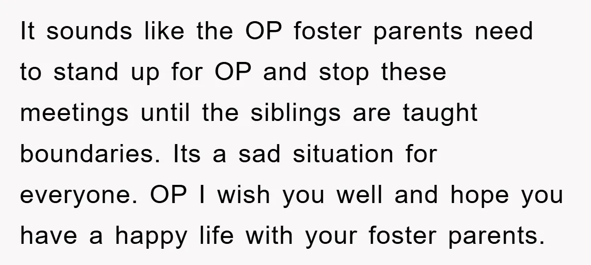 It sounds like the OP foster parents need to stand up for OP and stop these meetings until the siblings are taught boundaries. Its a sad situation for everyone. OP...
