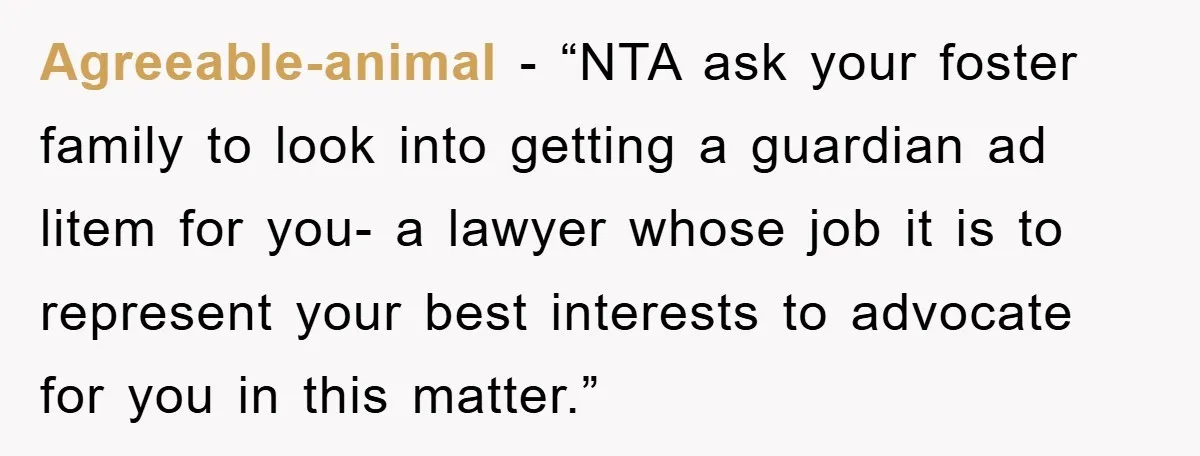 Agreeable-animal - “NTA ask your foster family to look into getting a guardian ad litem for you- a lawyer whose job it is to represent your best interests to advocate...