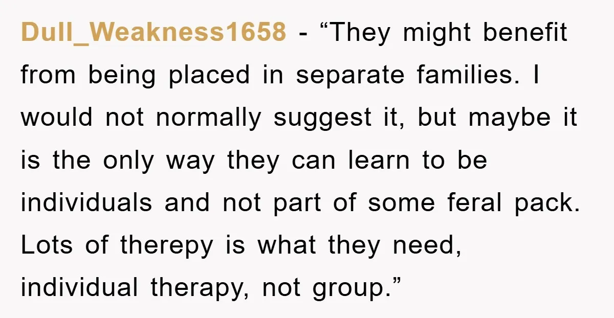Dull_Weakness1658 - “They might benefit from being placed in separate families. I would not normally suggest it, but maybe it is the only way they can learn to be individuals...