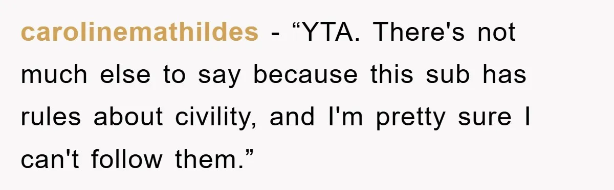 carolinemathildes - “YTA. There's not much else to say because this sub has rules about civility, and I'm pretty sure I can't follow them.”