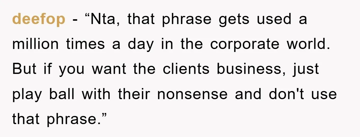 deefop - “Nta, that phrase gets used a million times a day in the corporate world. But if you want the clients business, just play ball with their nonsense and...