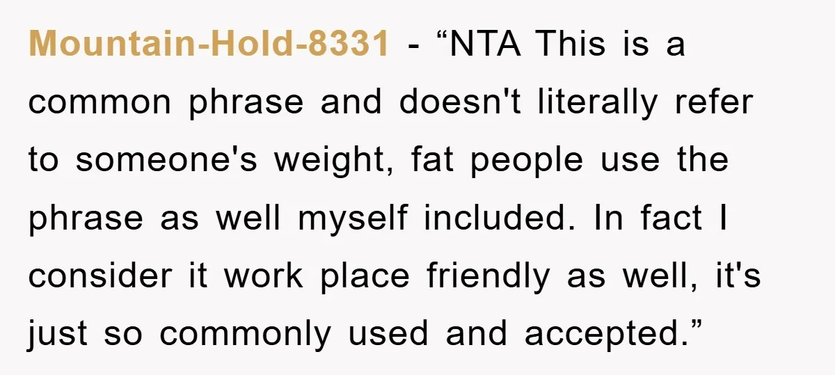 Mountain-Hold-8331 - “NTA This is a common phrase and doesn't literally refer to someone's weight, fat people use the phrase as well myself included. In fact I consider it work...