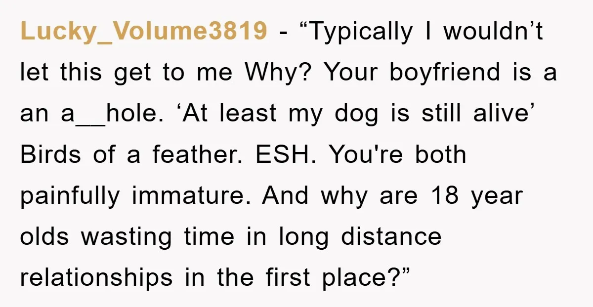 Lucky_Volume3819 - “Typically I wouldn’t let this get to me Why? Your boyfriend is a an a__hole. ‘At least my dog is still alive’ Birds of a feather. ESH. You're...