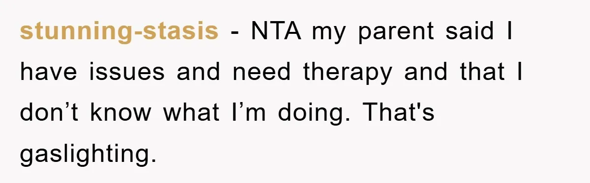 stunning-stasis − NTA my parent said I have issues and need therapy and that I don’t know what I’m doing. That's gaslighting.