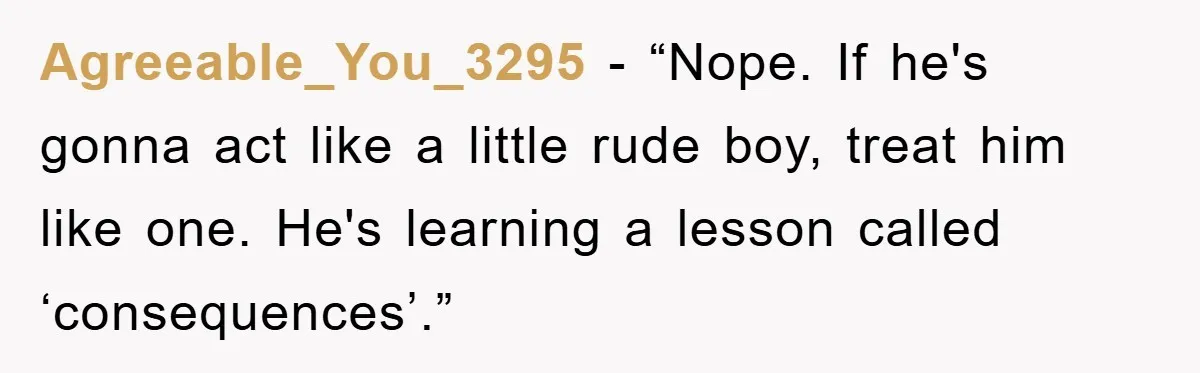 Agreeable_You_3295 - “Nope. If he's gonna act like a little rude boy, treat him like one. He's learning a lesson called ‘consequences’.”