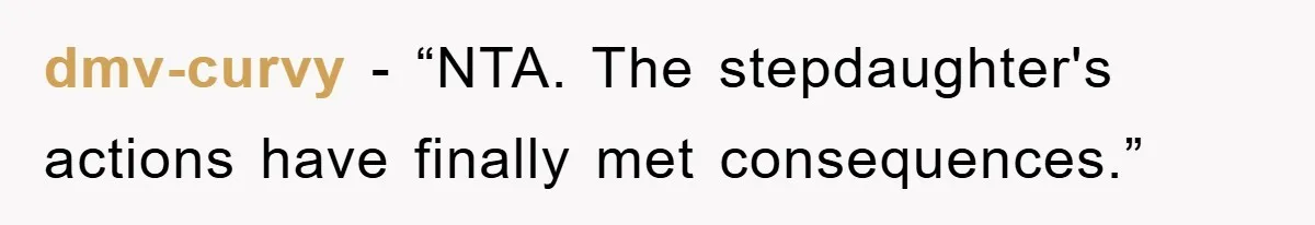 dmv-curvy - “NTA. The stepdaughter's actions have finally met consequences.”