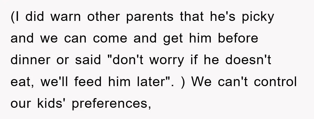 (I did warn other parents that he's picky and we can come and get him before dinner or said "don't worry if he doesn't eat, we'll feed him later". )...