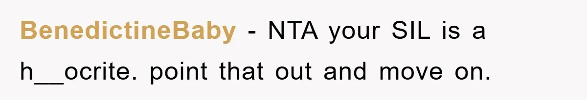BenedictineBaby − NTA your SIL is a h__ocrite. point that out and move on.