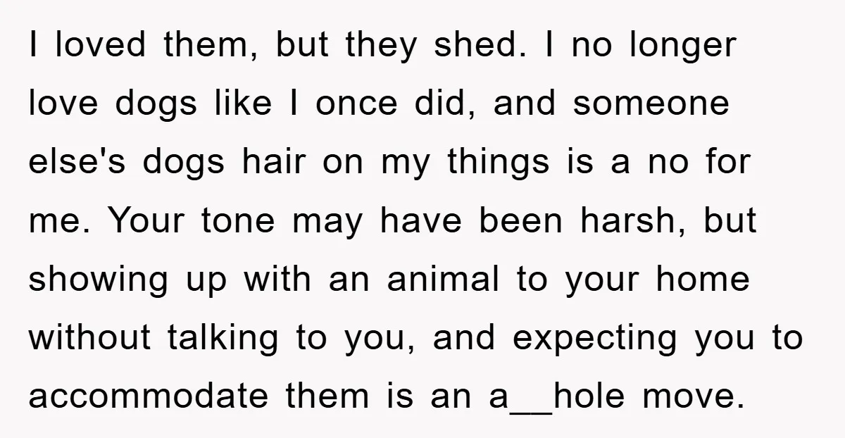 I loved them, but they shed. I no longer love dogs like I once did, and someone else's dogs hair on my things is a no for me. Your tone...
