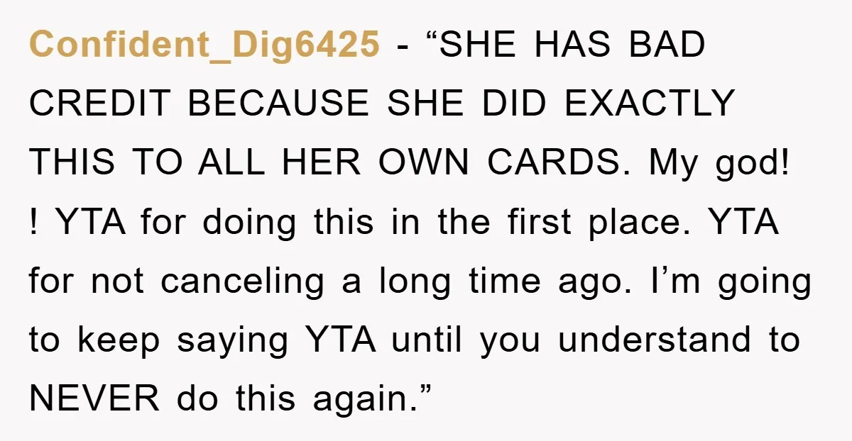 Confident_Dig6425 - “SHE HAS BAD CREDIT BECAUSE SHE DID EXACTLY THIS TO ALL HER OWN CARDS. My god! ! YTA for doing this in the first place. YTA for not...